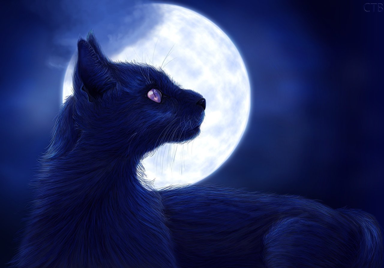 лунный кот картинки фантастический образ
