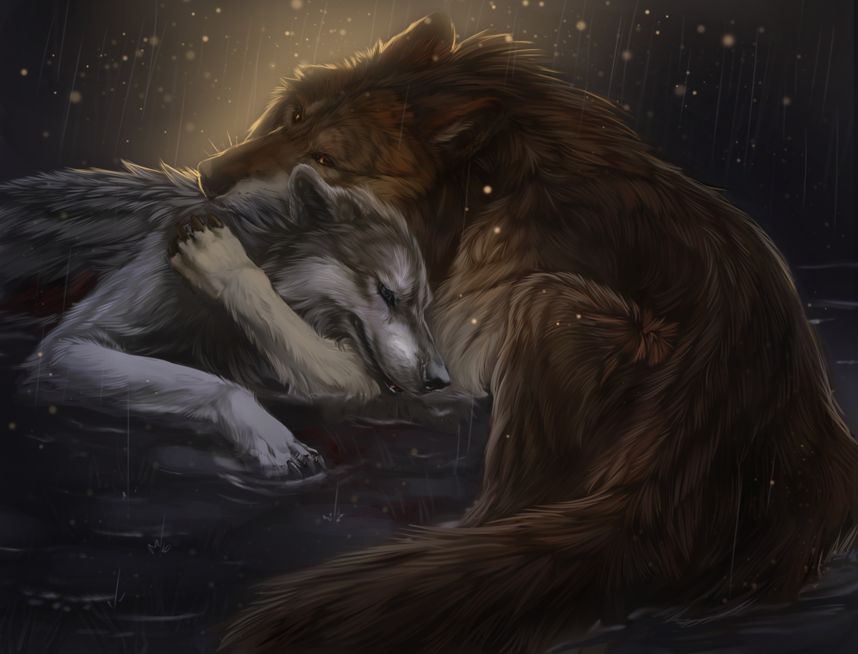 Обнимаю волка. Woodscream волчица. Волк оборотень Werewolf. Оборотни любовь.