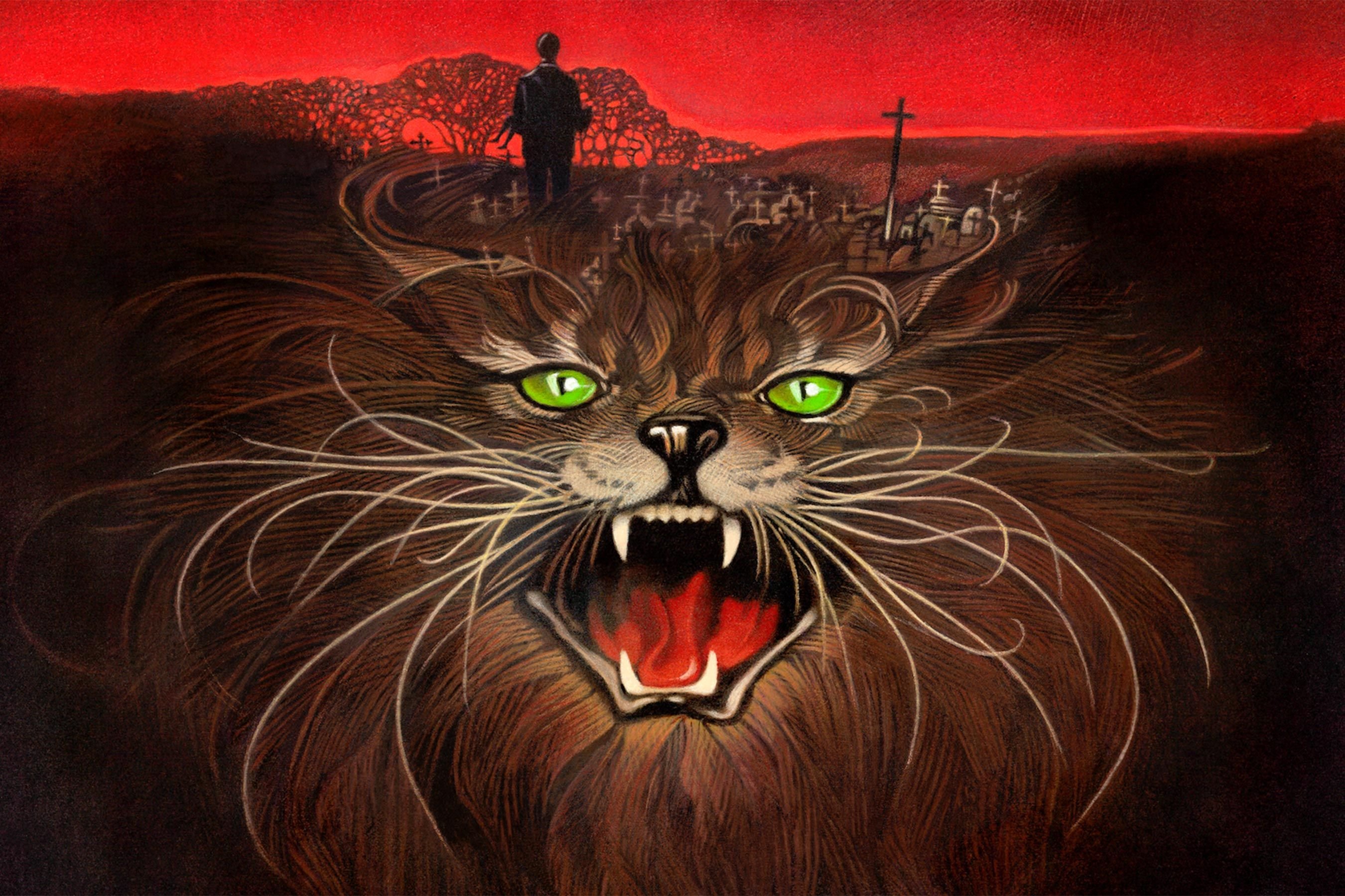 King pets. Pet Sematary Stephen King book Cover.