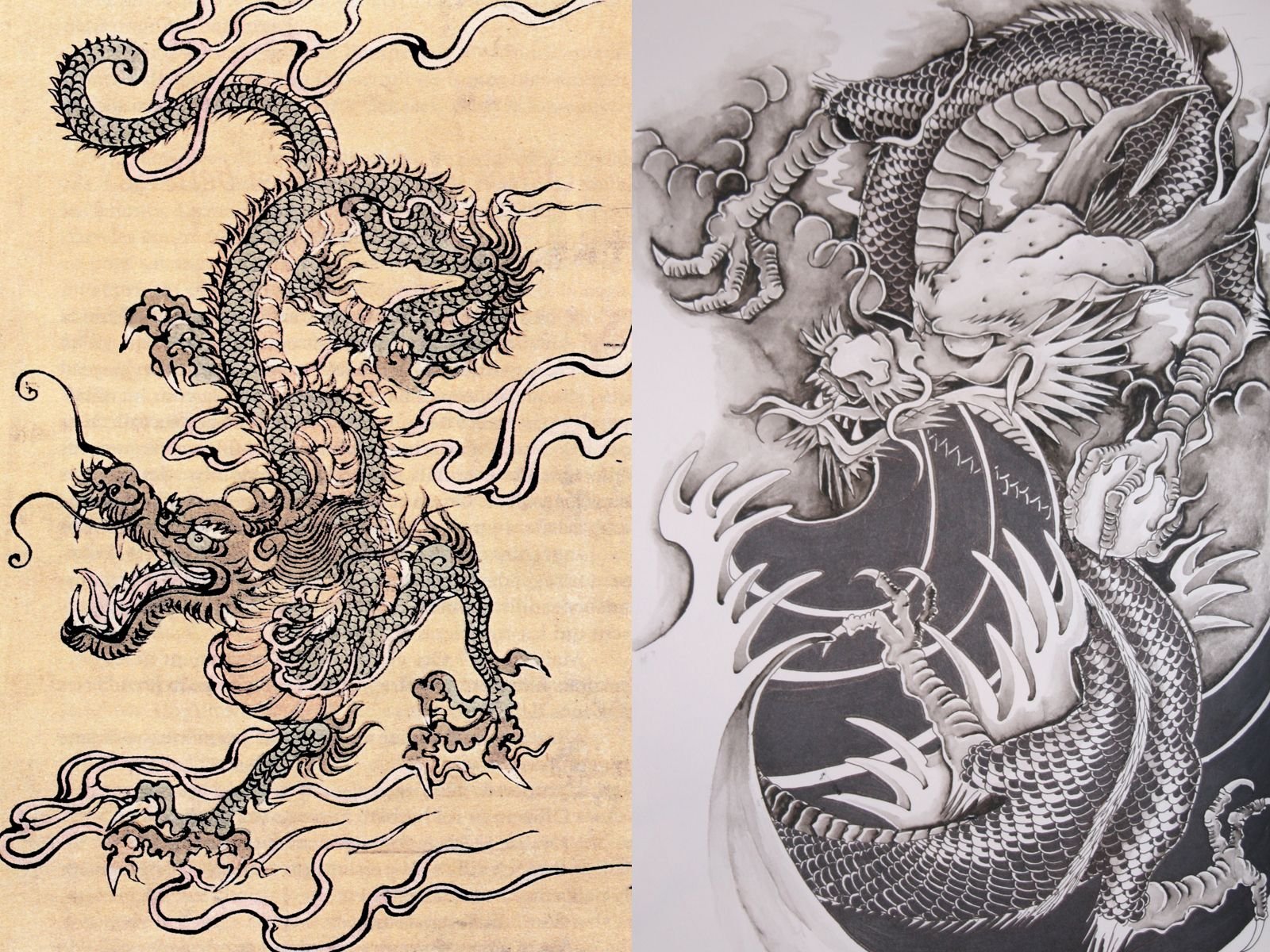 Китайский дракон значение. Fuku Riu японский дракон. Дракон Рюдзин Япония. Китайский дракон тату эскизы. Рюдзин дракон тату.