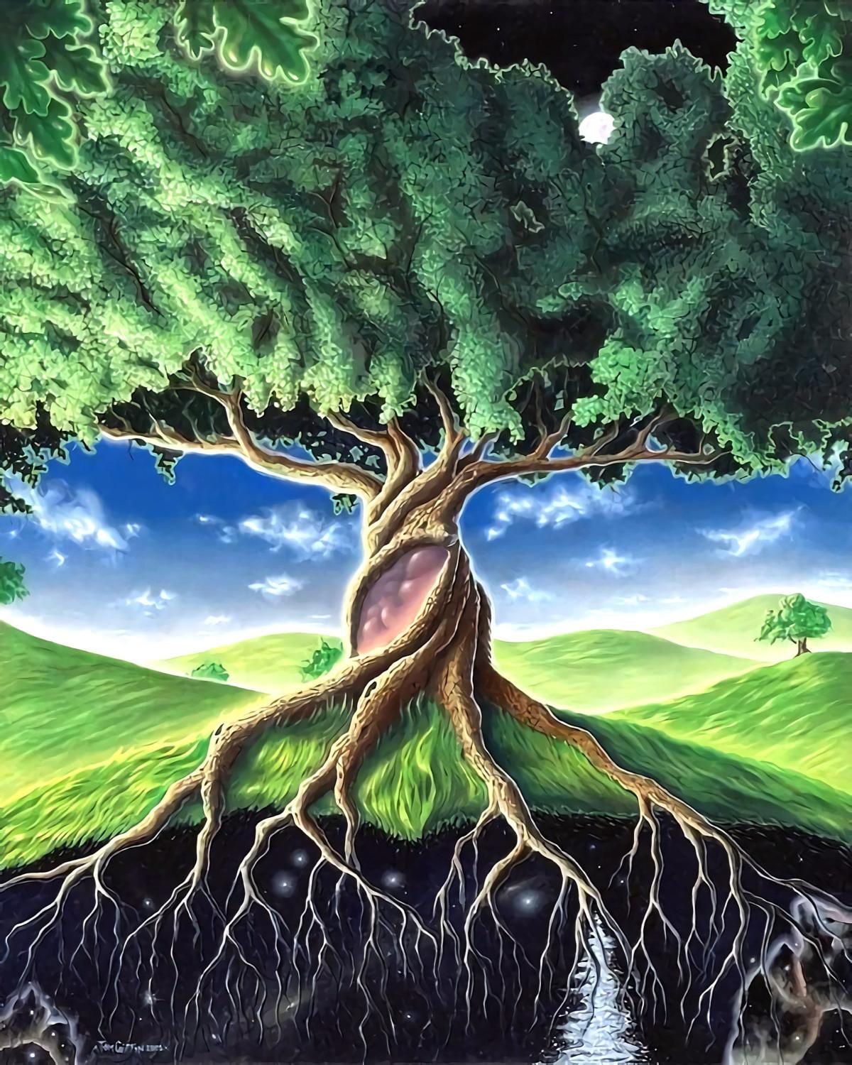 Дерево корнями в небо