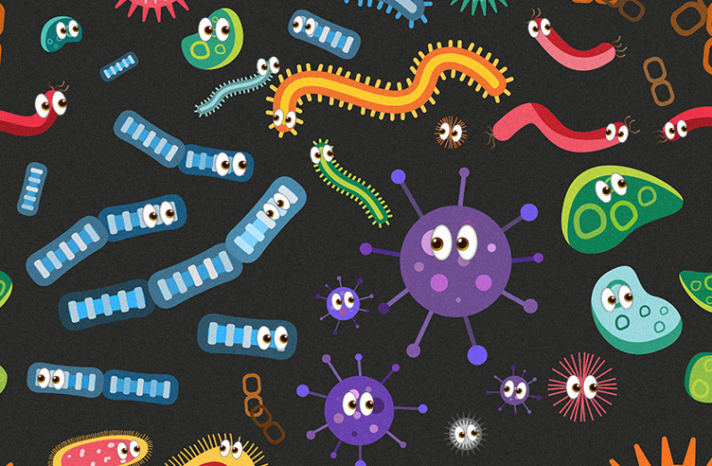 Какие есть микробы