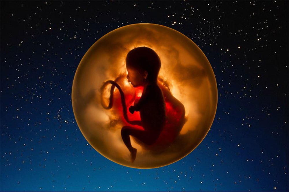 Притча про младенцев в утробе. Эмбрион человека в космосе. Ребенок в утробе арт.