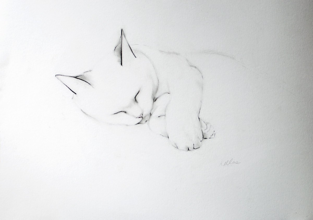Как нарисовать кота дремота из 3. Kellas Campbell кошки. Кошка карандашом. Котик карандашом. Кошка арт карандашом.