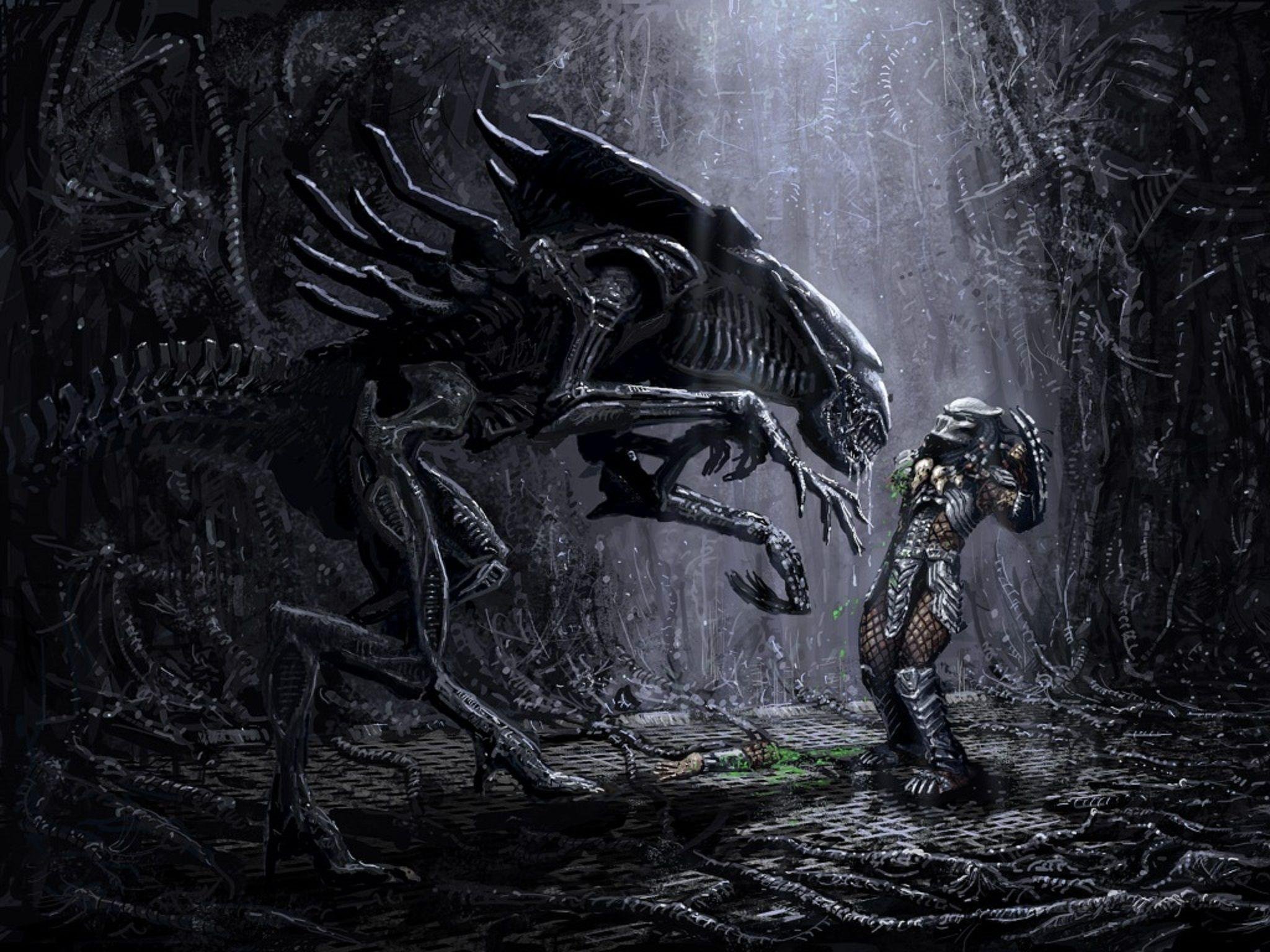 Иви чужой. Aliens vs Predator чужой. Хищник против хищника. Ксеноморф против хищника.