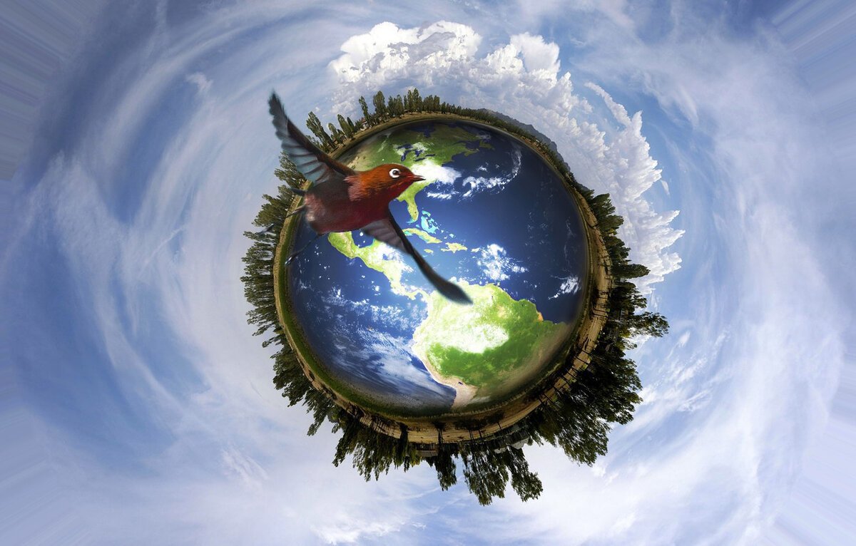 Вокруг шара. Планета земля природа. Земной шар. Природа на земном шаре. Планета экология.