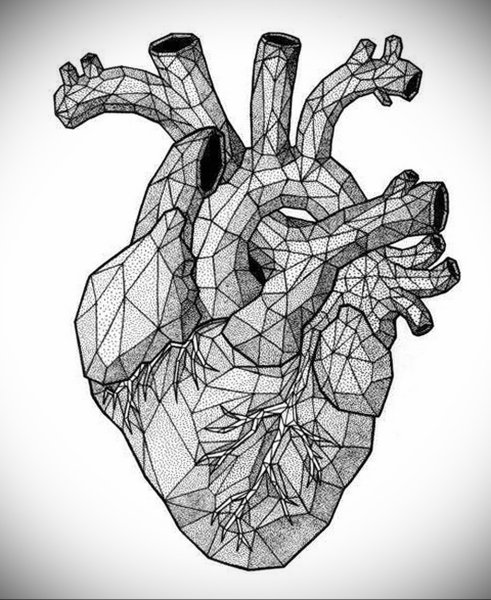 Анатомическое сердце арт (70 фото)