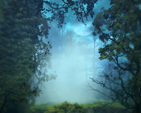 Арт туманный лес (68 фото)