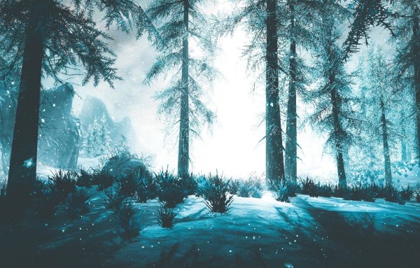 Зима лес арт (69 фото)