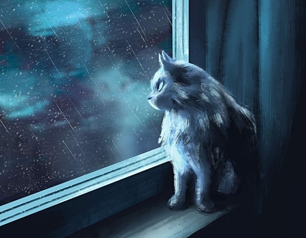 Котик грустный арт (66 фото)