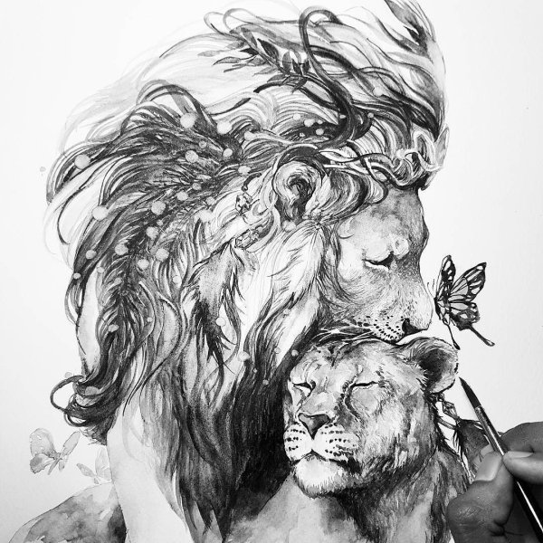 Лев и львица арт (70 фото)