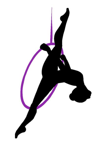 Воздушная гимнастка арт (69 фото)