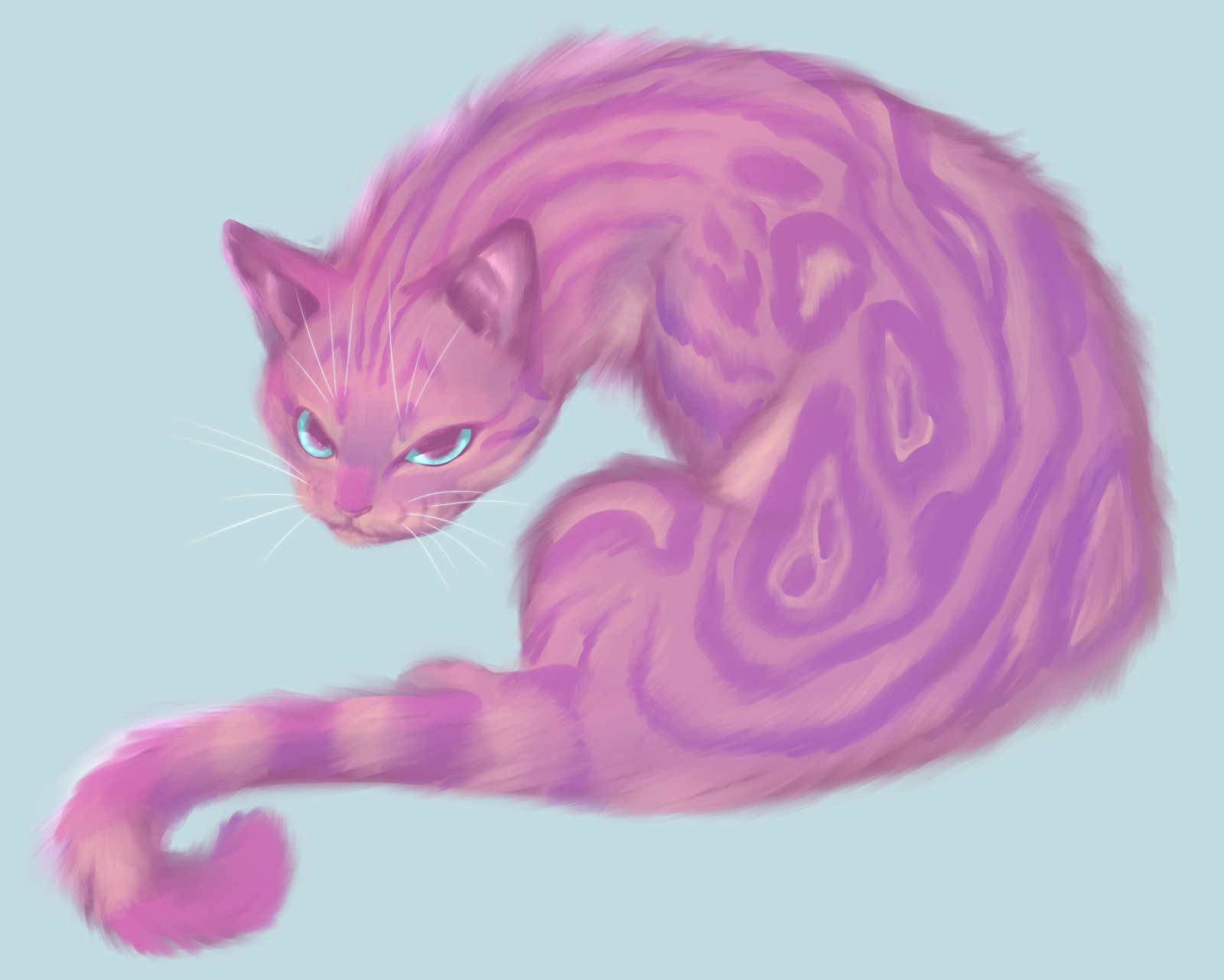 Коты Воители фиолетовый кот. Коты Воители Чешир. Розовая кошка. Кошка арт. Черно розовую кошку