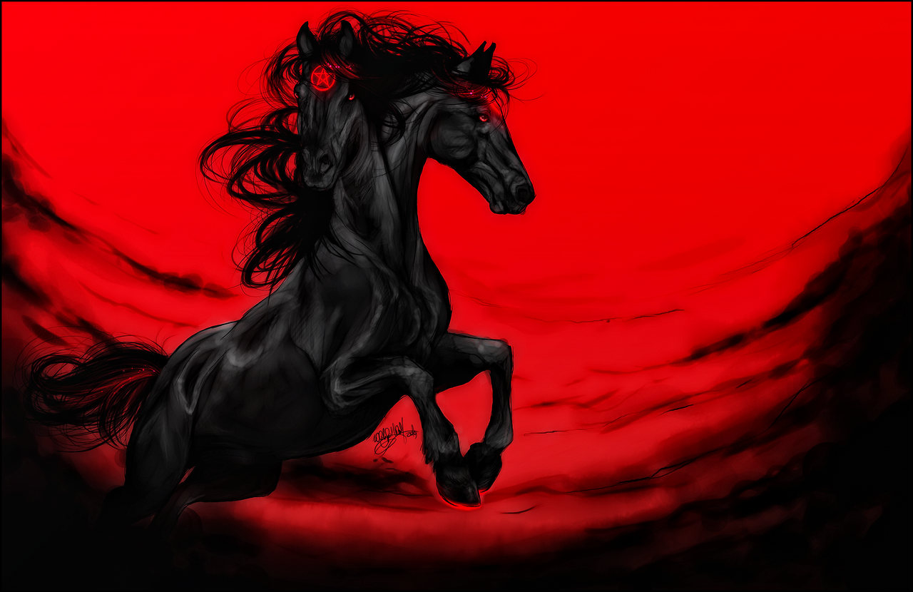 Лошадь черный. Красная лошадь. Вороной конь. Лошадь на Красном фоне. Рыже черная лошадь