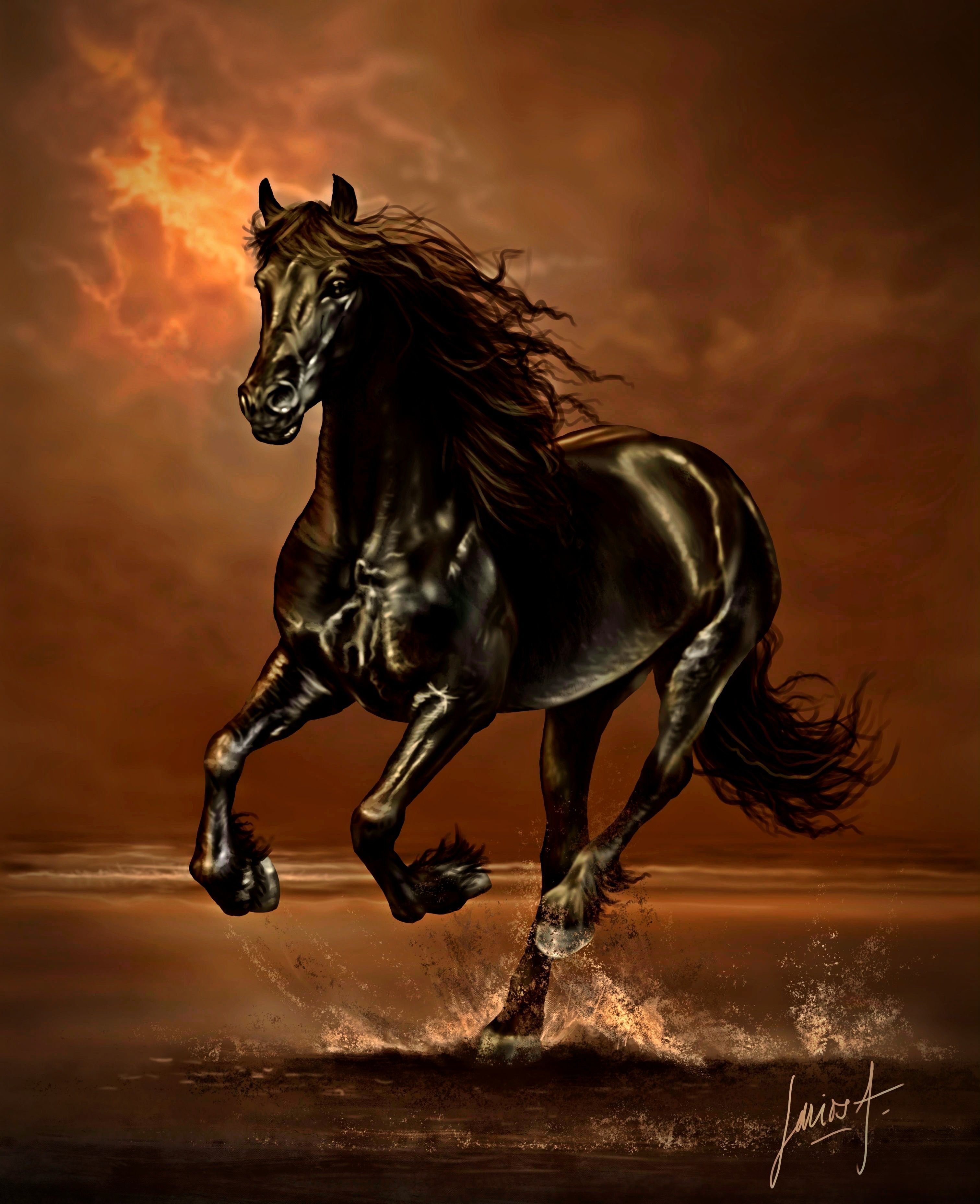 Картинки лошадей на заставку. Мустанг скакун. Черный Мустанг конь. Мустанг лошадь черный. Красивый конь.