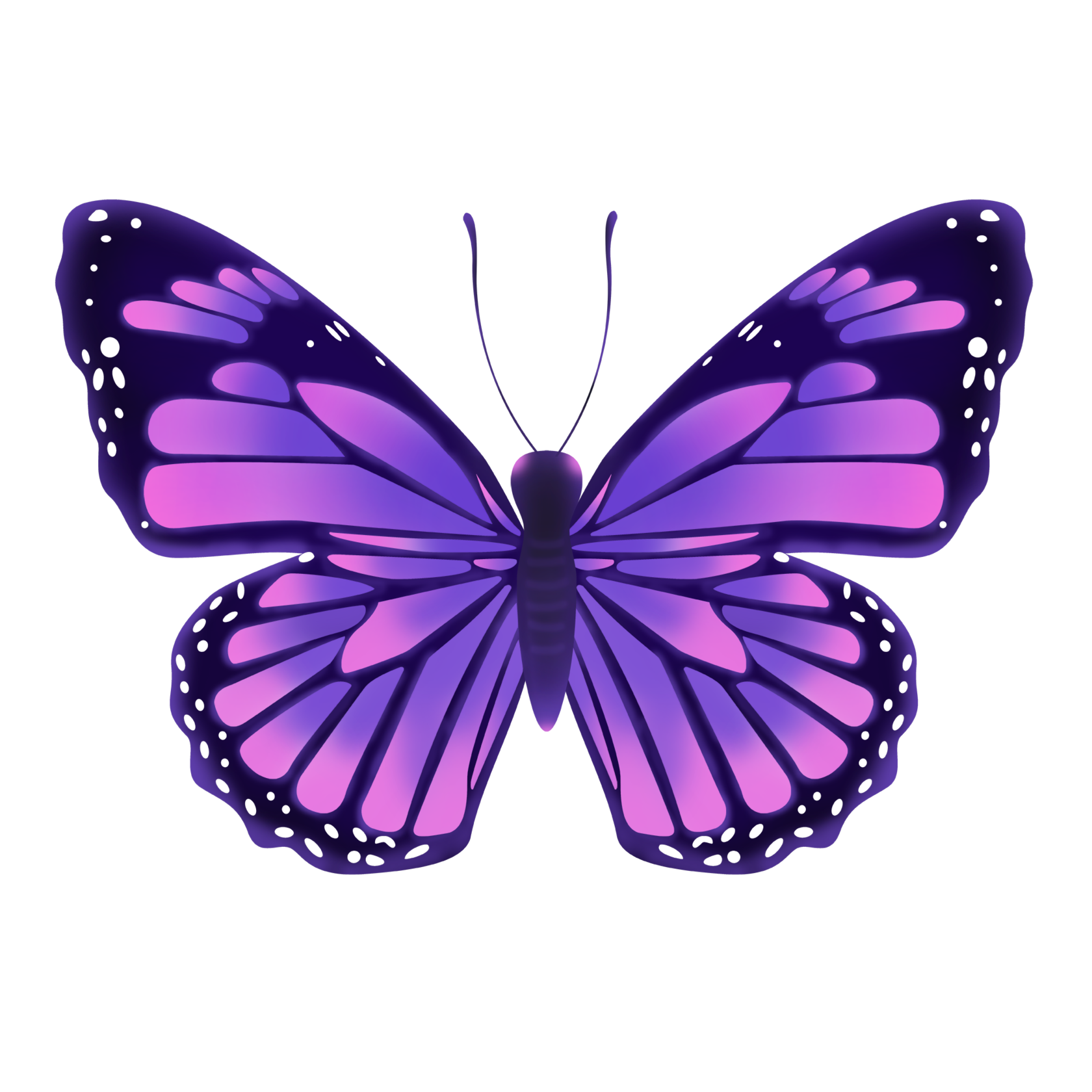 Фиолетовые бабочки картинки. Бабочка фиолетовая. Сиреневые бабочки. Фиолетовые бабочки для печати. Бабочки на белом фоне.