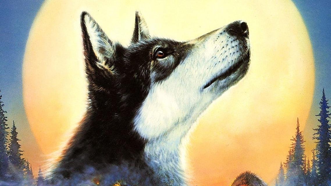 Произведение бурый волк. Белый клык Джек Лондон волк. Джек Лондон "белый клык". Джек Лондон белый клык арт. Бурый волк Джек Лондон.