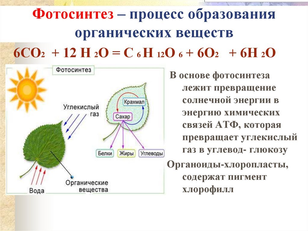 Для образования органических веществ растениям необходима энергия. Схема фотосинтеза 9 класс биология. Схема фотосинтеза 6 класс биология. Общая схема фотосинтеза 9 класс. Какие вещества образуются при фотосинтезе биология 6 класс.