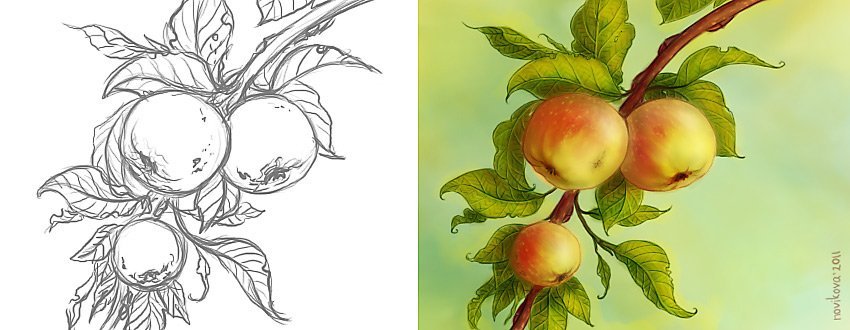 Яблоня карандашом. Яблоки на ветке. Рисование яблоня. Ветка яблони с яблоками. Яблоко Графика.