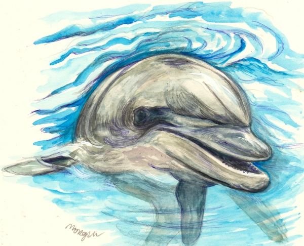 Идеи для срисовки дельфин (90 фото)