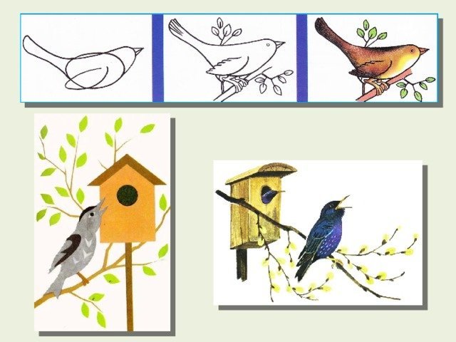 Рисование скворец в старшей группе. Рисование весенних птиц. Рисование скворца. Рисование птицы весной для дошкольников. Птицы прилетели изо.