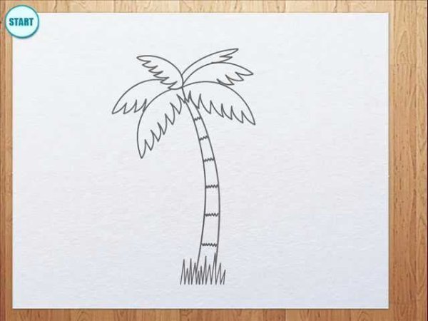 Идеи для срисовки пальма (90 фото)