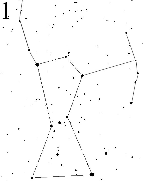 Раскраска созвездия. Созвездие Орион схема. Созвездие Орион схема по точкам. Созвездие Орион Цефей. Созвездие Орион Лев лебедь Кассиопея большая Медведица.