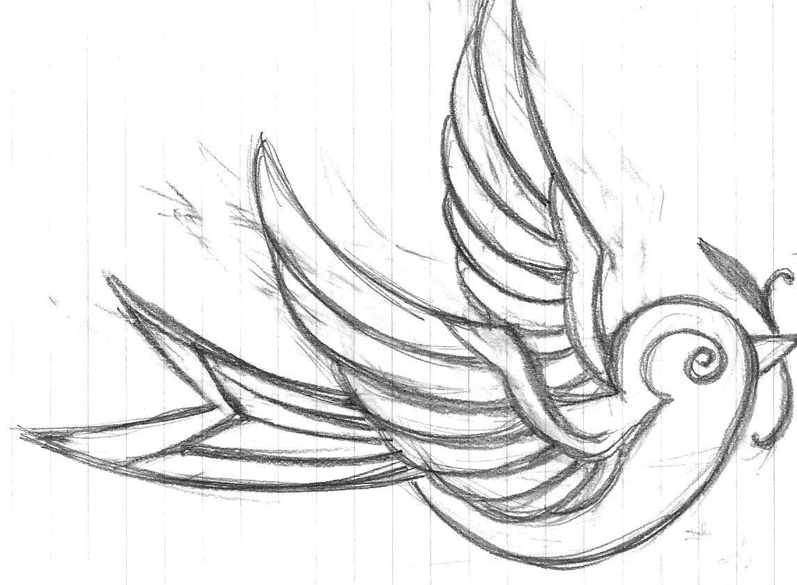 Рисунок птиц карандашом легкие. Эскизы рисунков. Птица рисунок. Красивые эскизы рисунков. Рисунок птицы карандашом для срисовки.