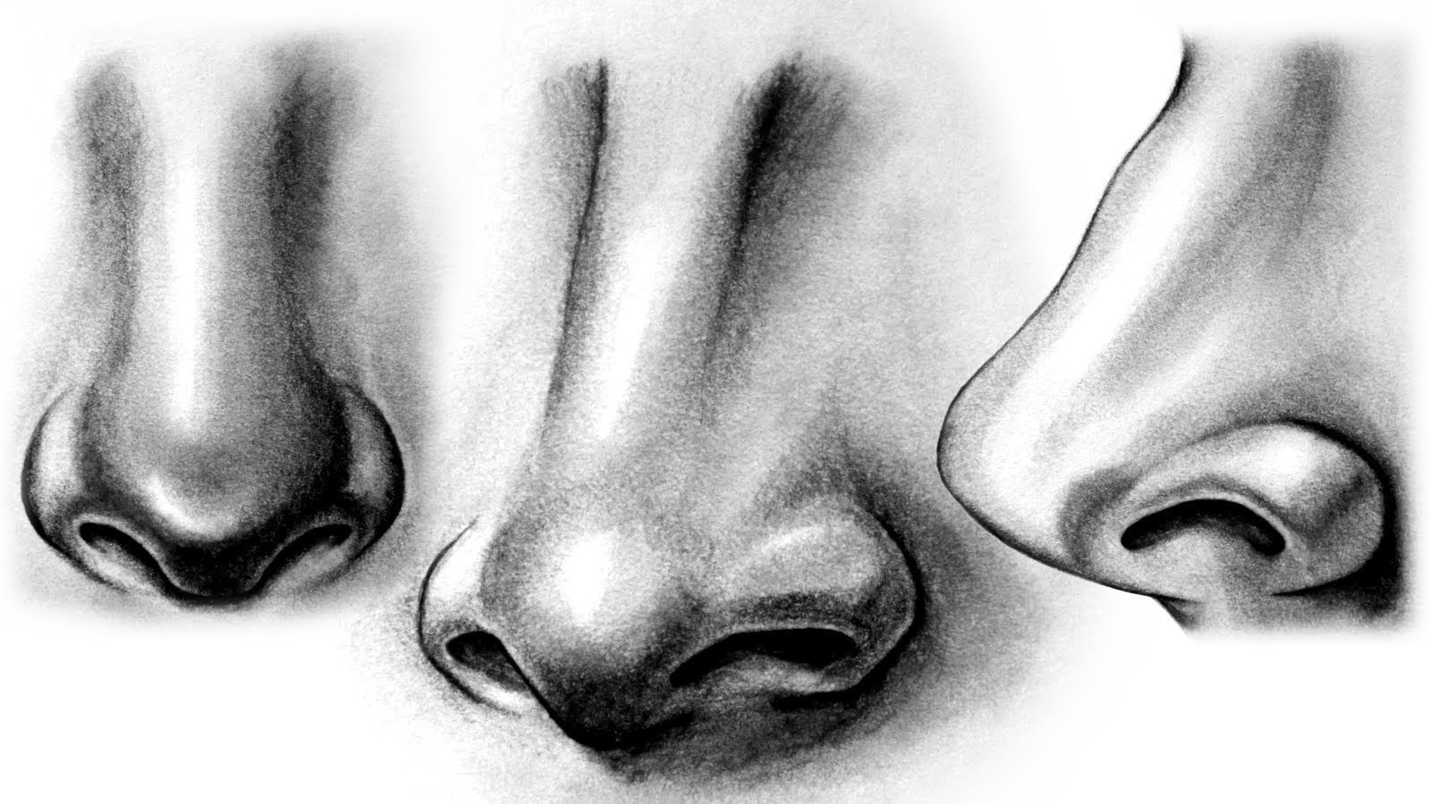 Нос в древности. Нос рисунок. Нос карандашом. Рисование носа с разных ракурсов. Зарисовки носа.