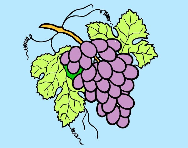 Рисуем виноград поэтапно акварелью - 46 фото