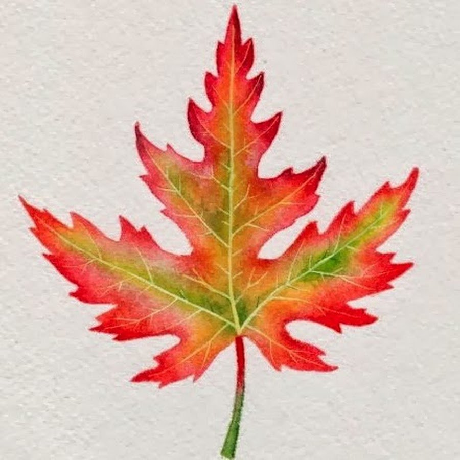 Лист рисунок цветной. Кленовый лист Геншин. Maple кленовый лист. Кленовый лист рисунок. Осенние листочки.