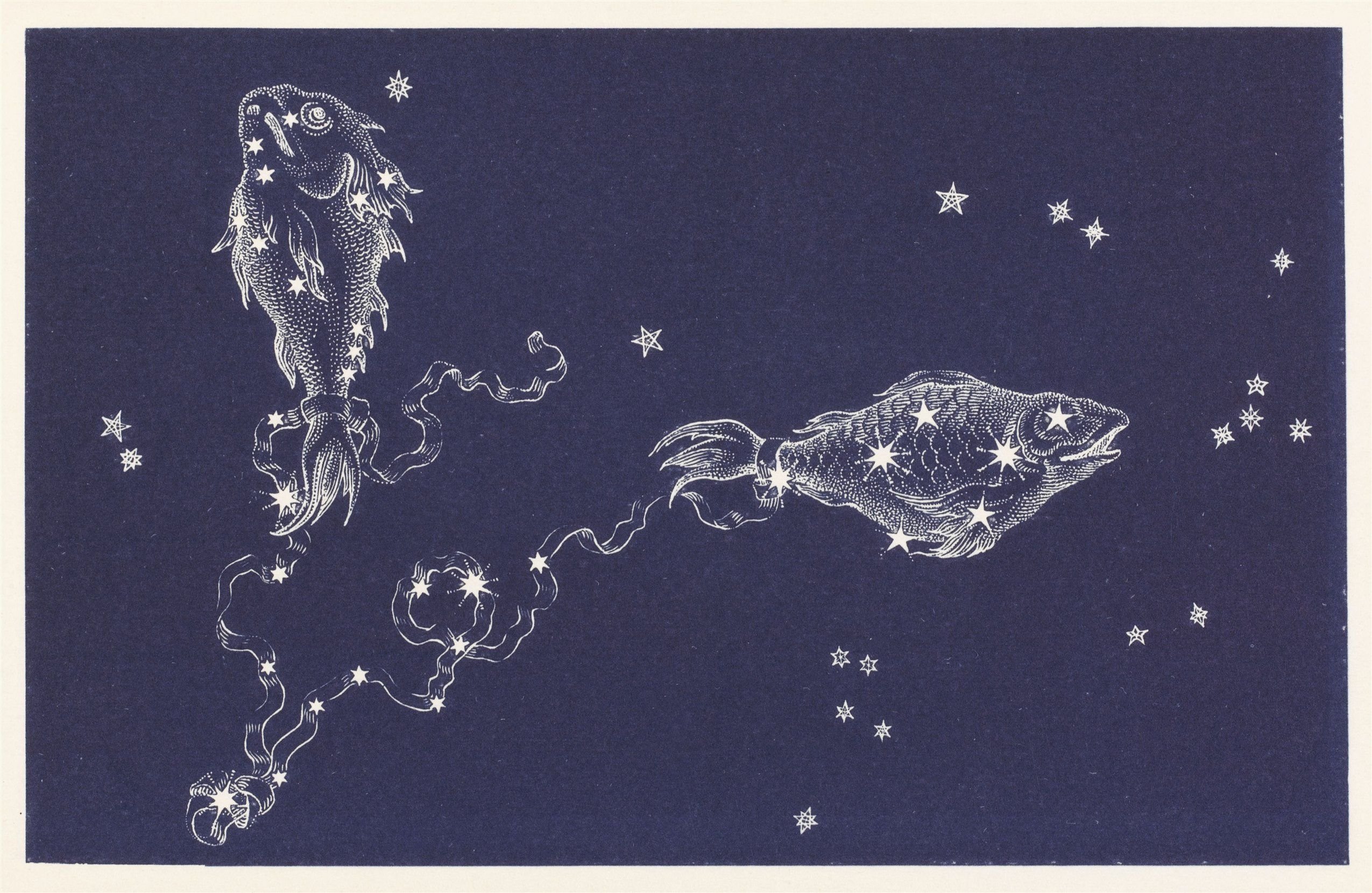 Созвездие фаворского. Рыбы(Созвездие) гевелий. Знак зодиака рыбы Созвездие. Созвездие рыбы астрономия. Астеризмы созвездия рыбы.