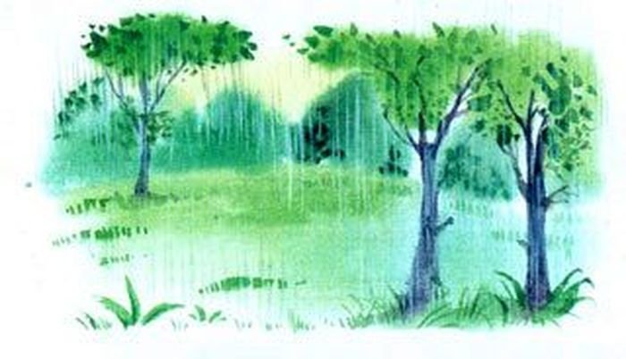 Идеи для срисовки весенний дождь (90 фото) » идеи рисунков для срисовки и  картинки в стиле арт - АРТ.КАРТИНКОФ.КЛАБ