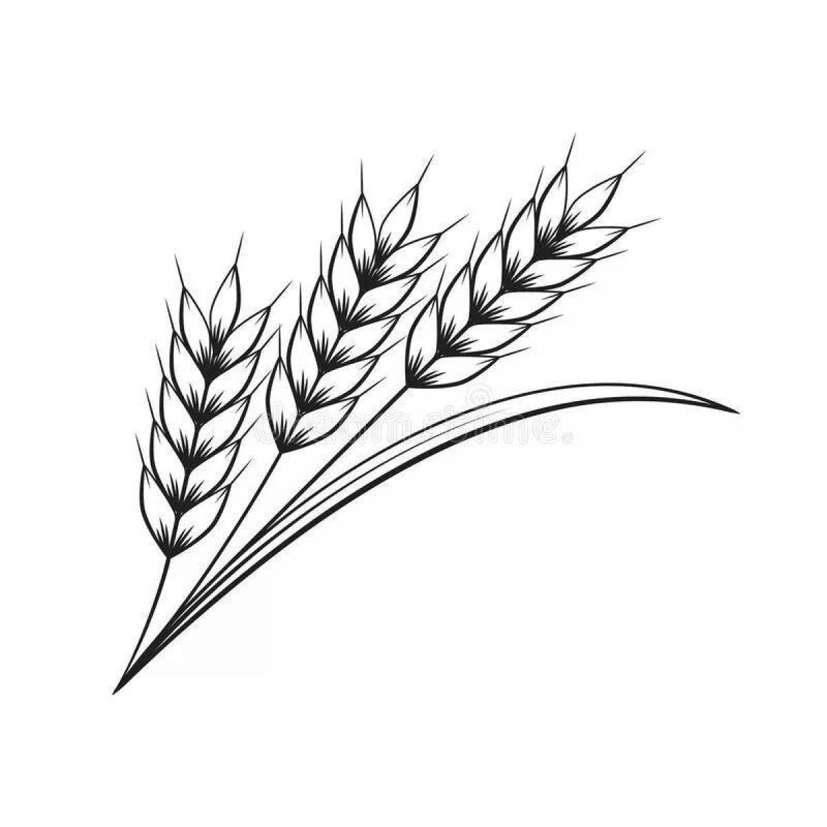 Раскраска поле пшеницы - 47 фото