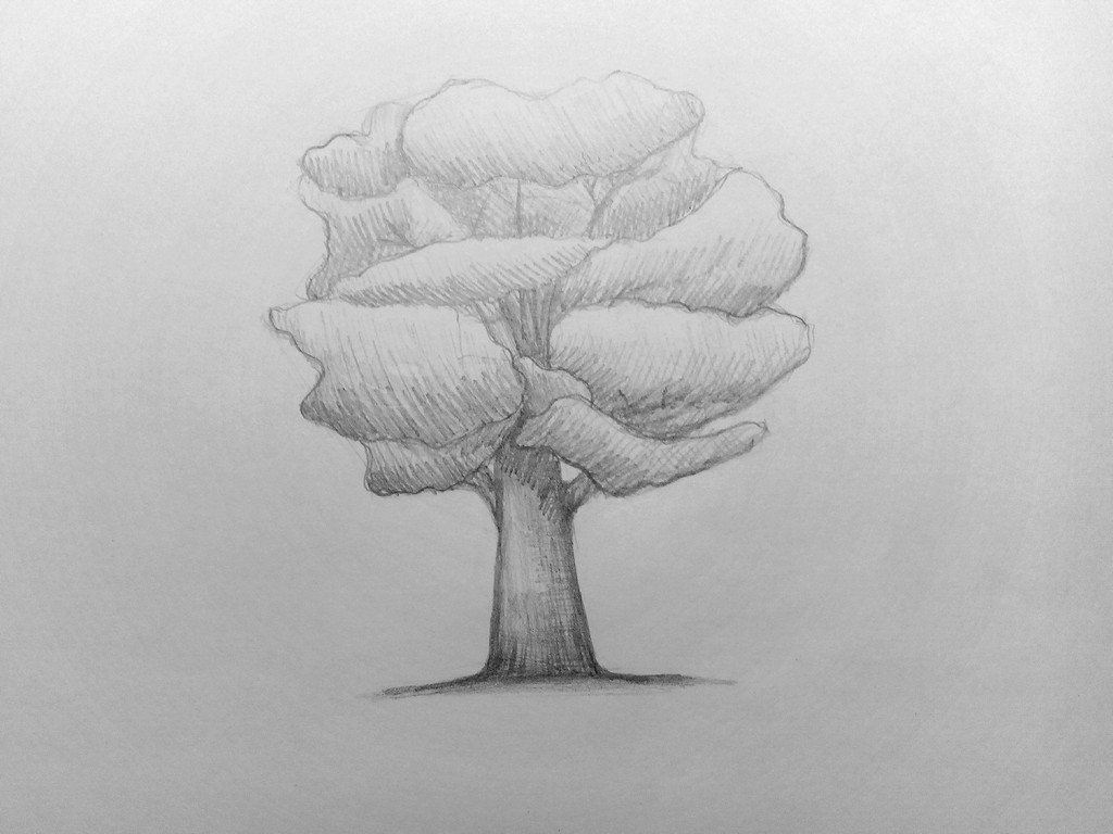 Как рисовать дерево. Дерево карандашом. Дерево рисунок карандашом. Красивое дерево карандашом. Рисунок дерева простым карандашом.