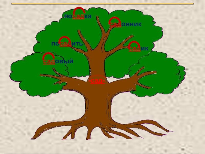 Корень дерева класс. Дуб рисунок. Дерево с однокоренными словами. Дере во с однокореныме словами. Дерево родственных слов.