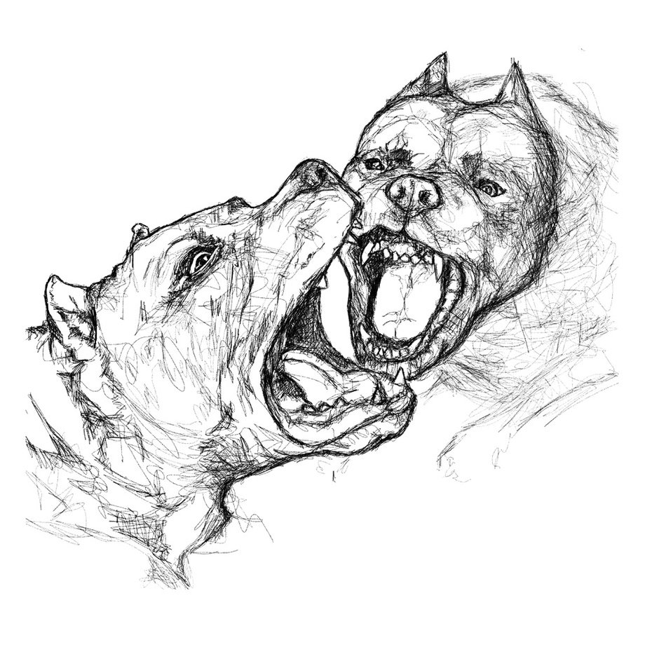 Идеи для срисовки злая собака (90 фото) » идеи рисунков для срисовки и  картинки в стиле арт - АРТ.КАРТИНКОФ.КЛАБ