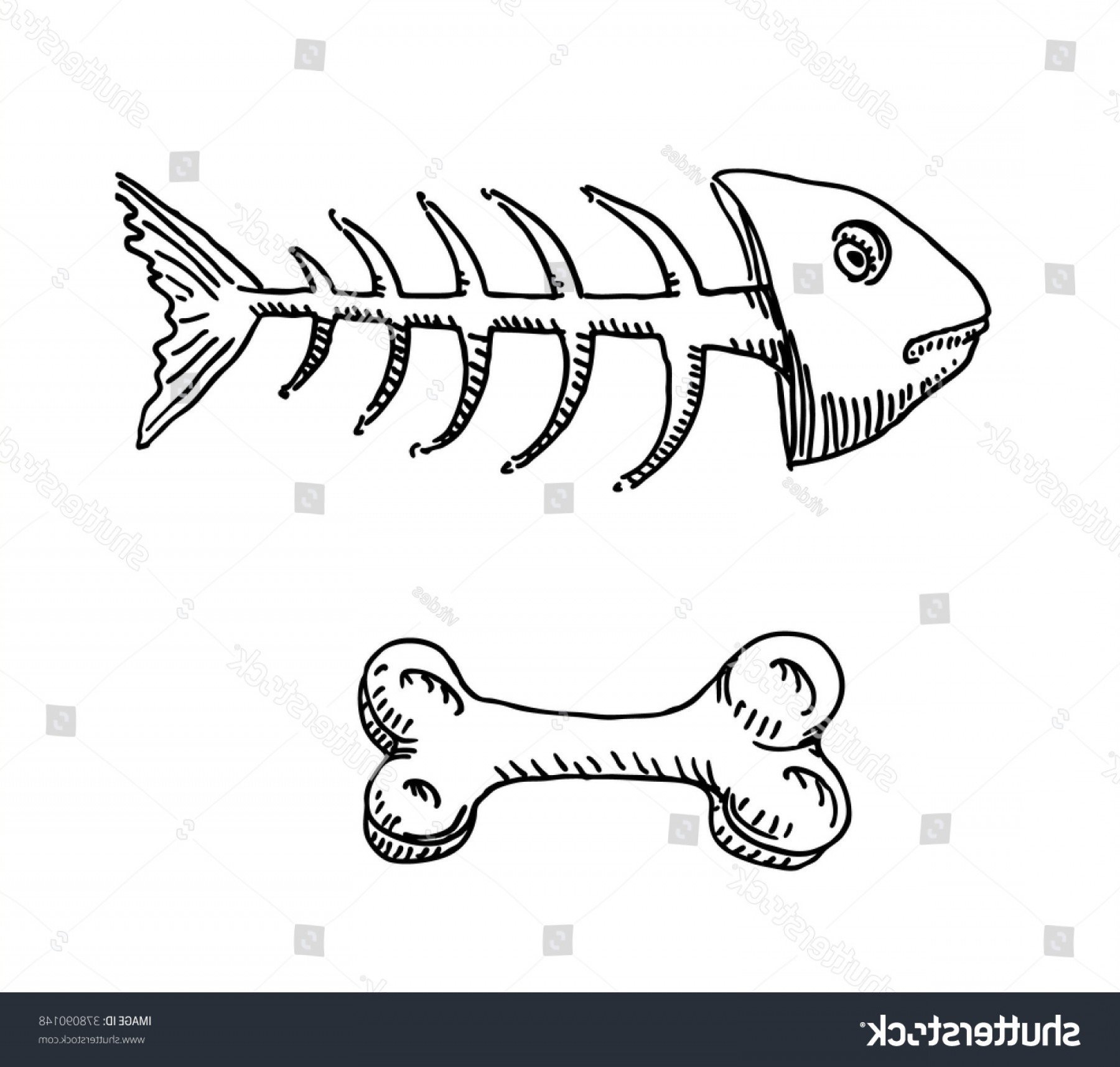 Кости рыбы собаке. Скелет рыбы. Скелет рыбки. Скелет рыбы эскиз. Тату скелет рыбы.