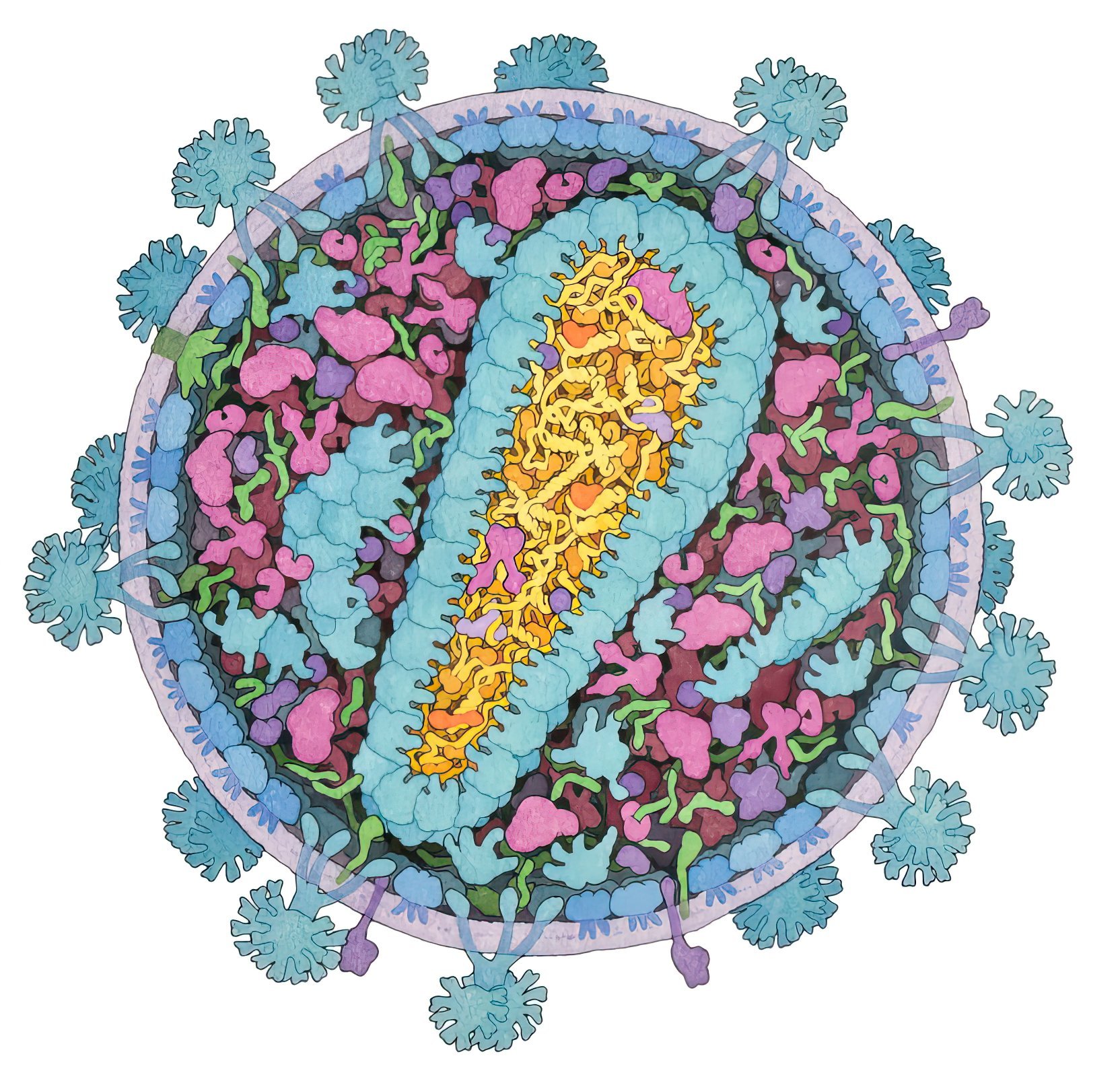 Complete virus. Вирусы. Биологические вирусы. Вирус иммунодефицита человека. Красота биологии вирусы.