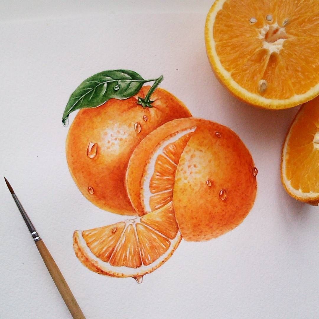 Стоковые векторные изображения по запросу Дольки апельсина