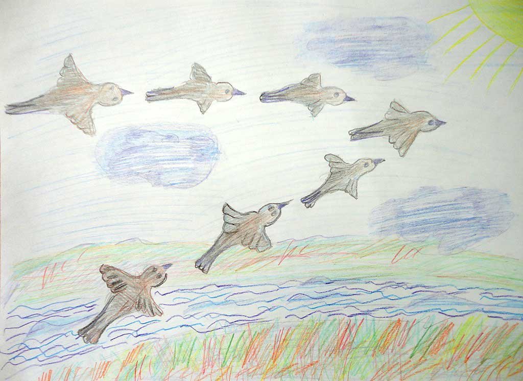 Рисование конспект перелетные птицы