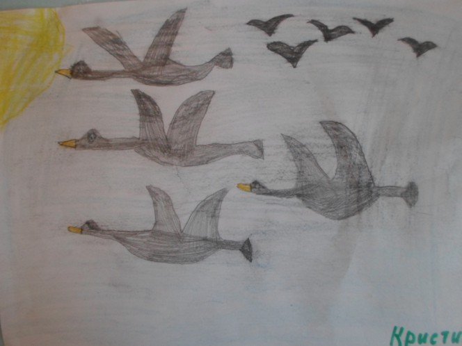 Рисование тема перелетные птицы в подготовительной. Рисование перелетные птицы. Рисование перелетные птицы подготовительная группа. Рисование перелетные птицы старшая группа. Рисование в подготовительной группе перелетные птицы осенью.
