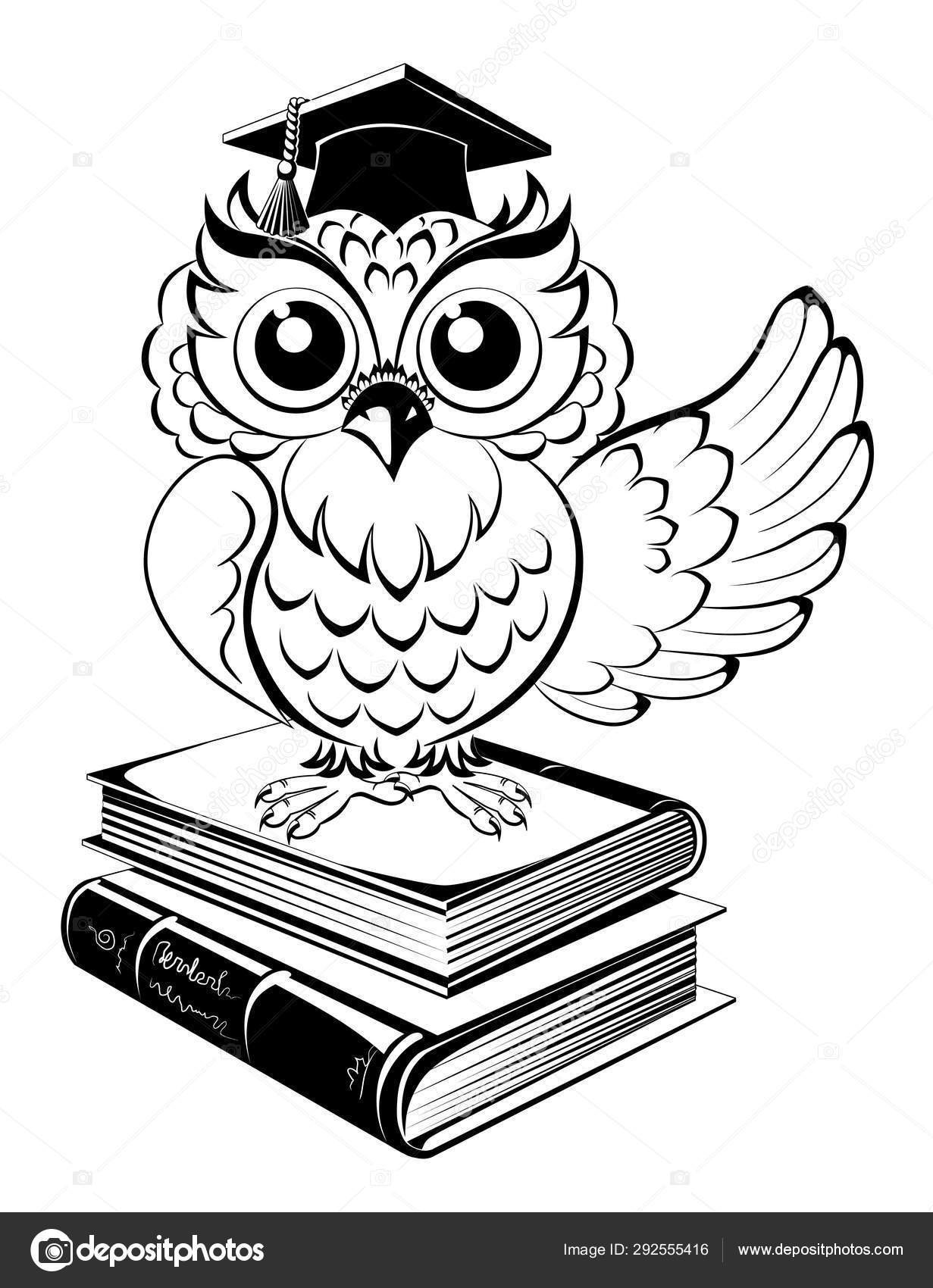Сова символ мудрости знаний. Сова с книжкой. Сова с книгой раскраска. Сова ученая черно белая. Мудрая Сова раскраска.