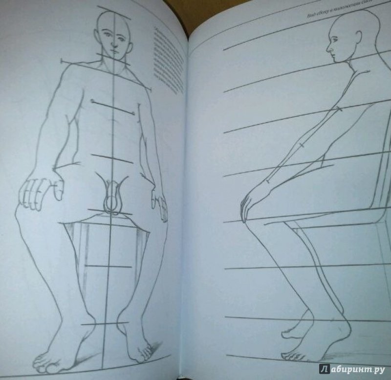 Читать изо 7 класс. Фигура человека для рисования. Книги по рисованию. Анатомия человека для рисования книга. Срисовать человека.