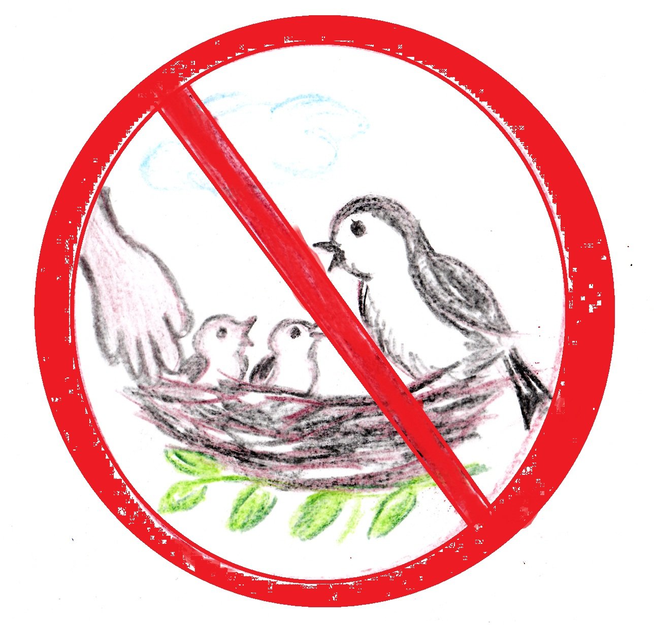 Экологические знаки. Экознак не разоряй гнезда птиц. Запрещающие знаки в природе. Знаки защиты природы. Знаки охраны природы.