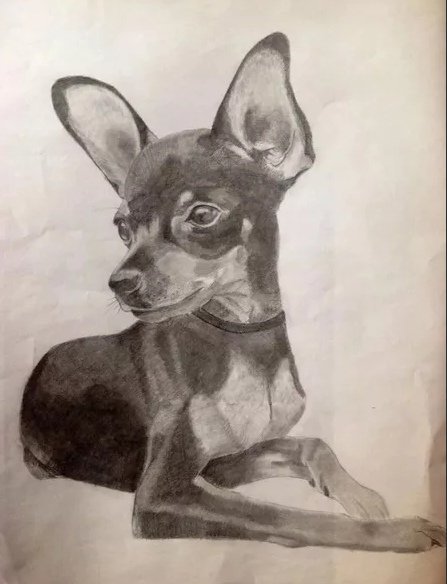 Как нарисовать собаку тем, кто вообще не художник