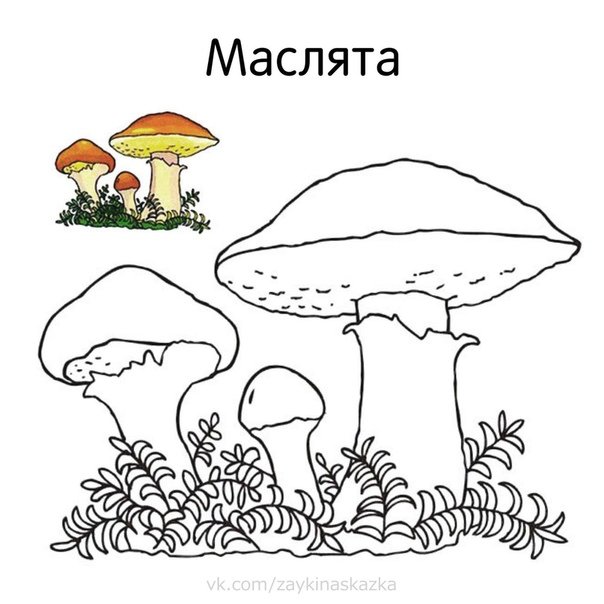 Раскраска ДетИздат Забавные грибы
