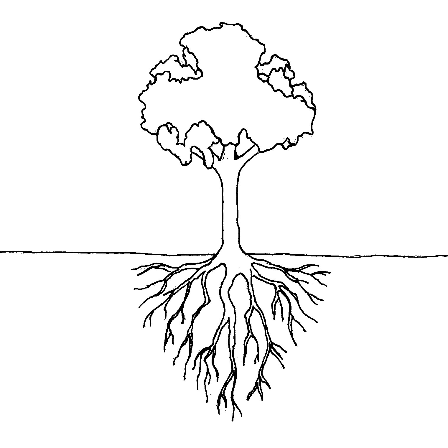 Корни черно белая. Дерево с корнями раскраска. Дерево с корнями рисунок. Корень растения для детей. Дерево с корнями рисуночек.