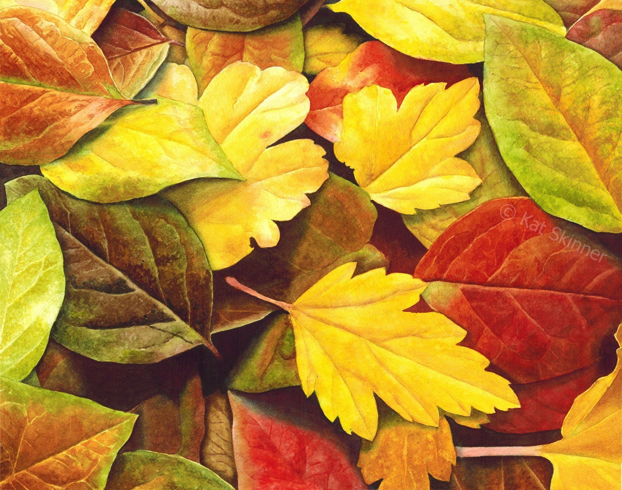 Опадают разноцветные листья