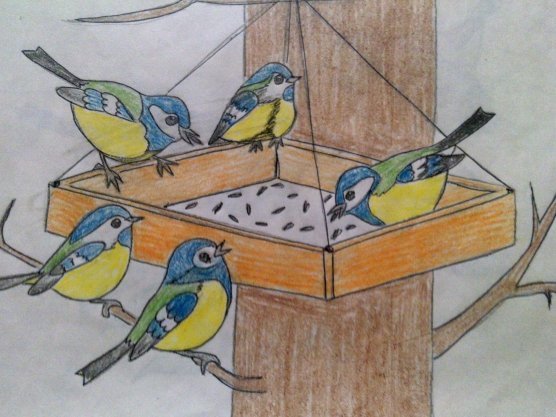 Идеи для срисовки покормите птиц (90 фото)